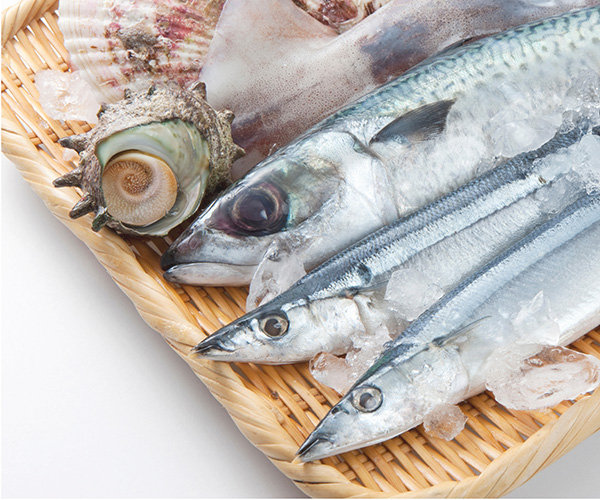 生食用鮮魚介類、生食用かき及び冷凍食品（生食用冷凍鮮魚介類に限る。）の加工基準の改正について （「食品衛生法施行規則及び食品、添加物等の規格基準の一部改正」）