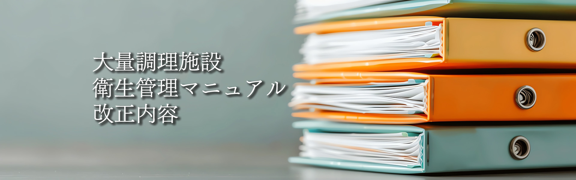 「大量調理施設衛生管理マニュアル (平成29年6月16日付)」の改正について