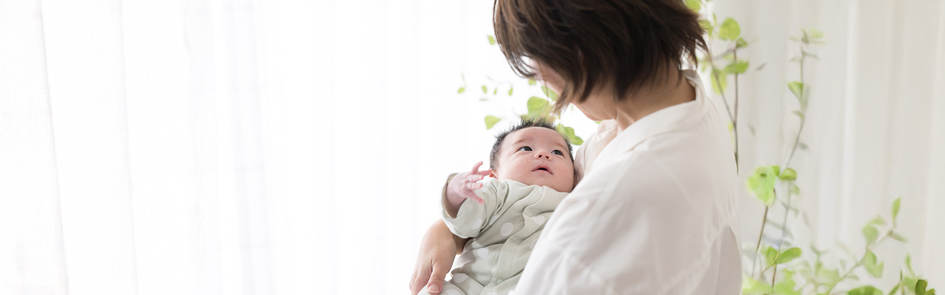 野菜に常在するリステリア属菌の実態調査とその殺菌方法の検証について