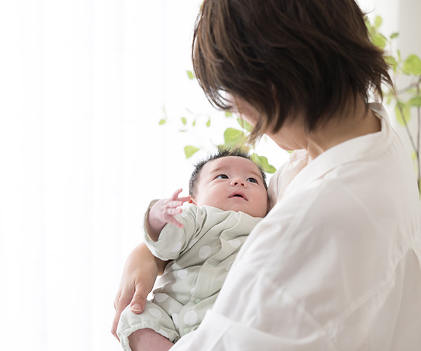 野菜に常在するリステリア属菌の実態調査とその殺菌方法の検証について