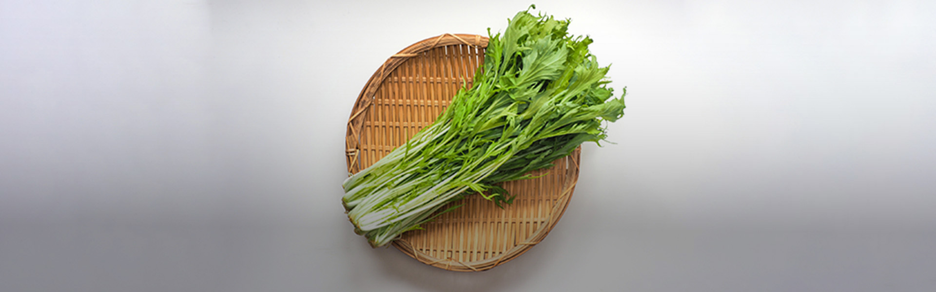 <b>水菜に常在するセレウス菌（<i>Bacillus cereus</i>） に関する実態調査と、その殺菌方法の検証について</b>